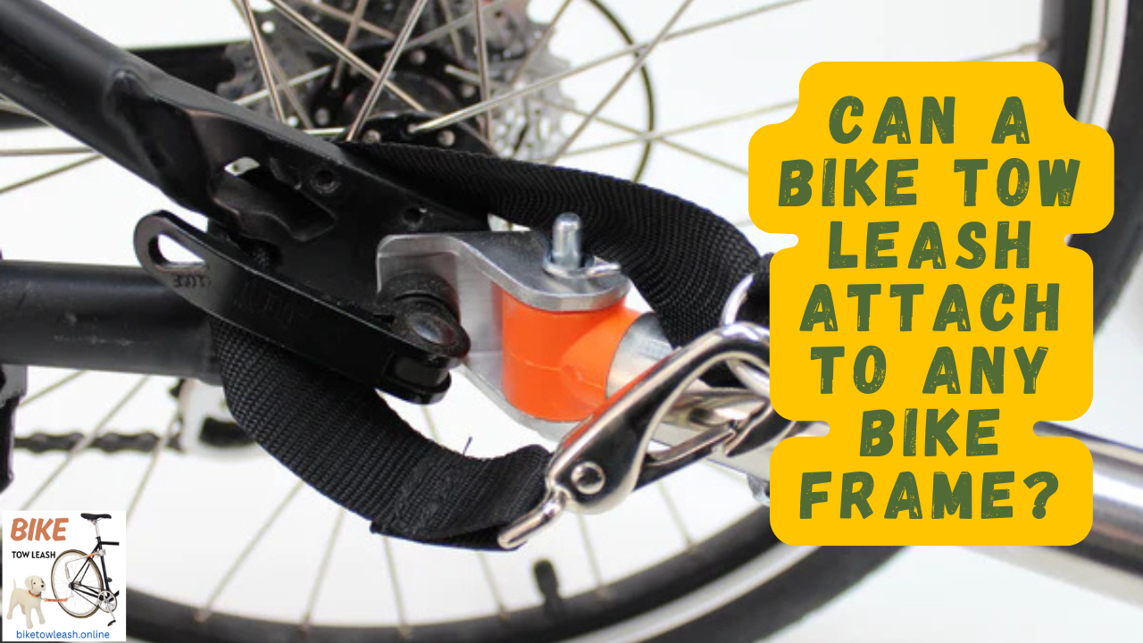Can a Bike Tow Leash Attach to Any Bike Frame
