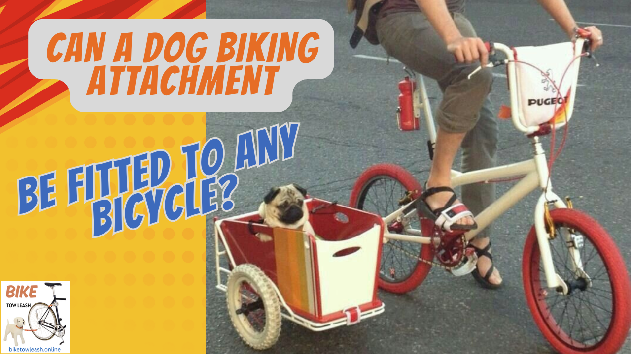 Can a Dog Biking Attachment be Fitted to any Bicycle