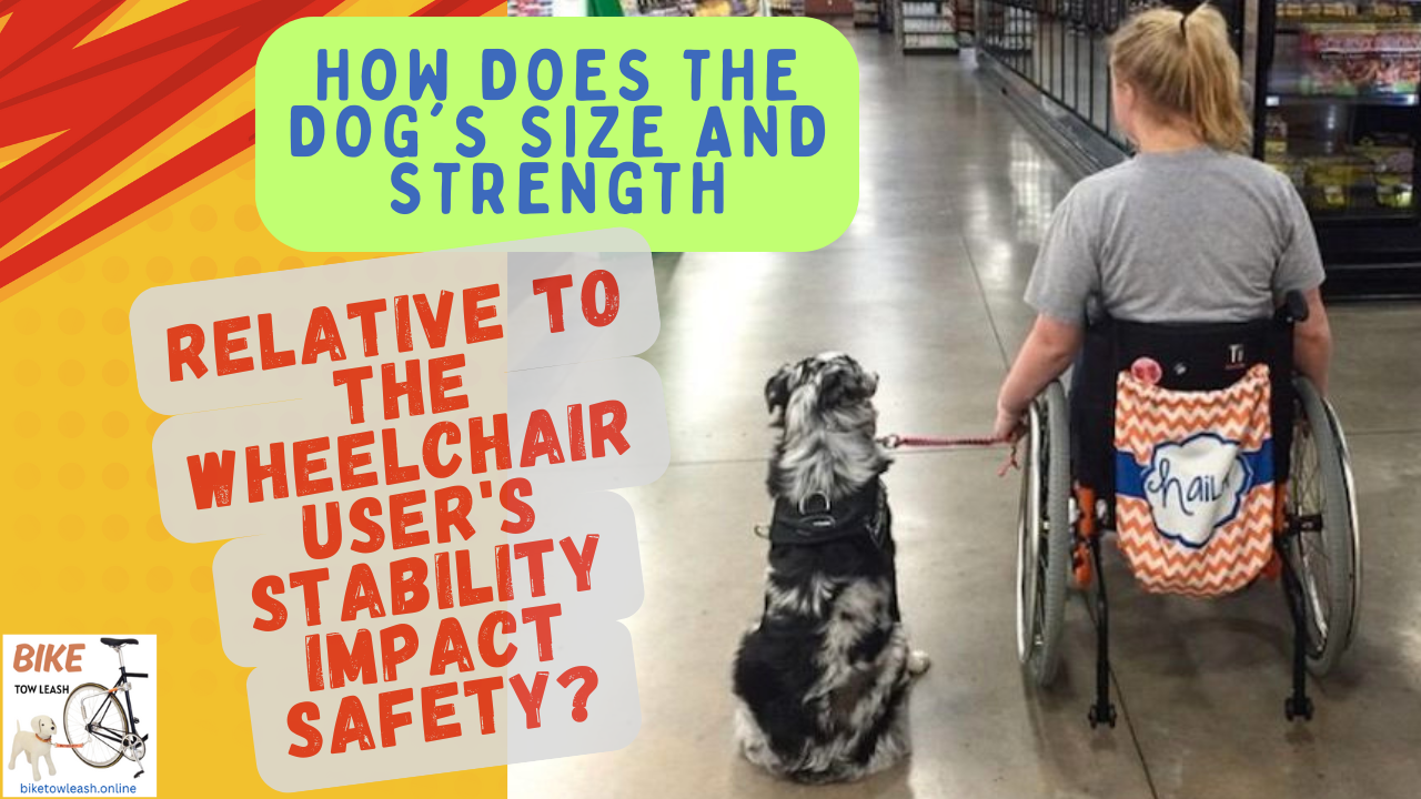 How does the dog's size and strength relative to the wheelchair user's stability impact safety