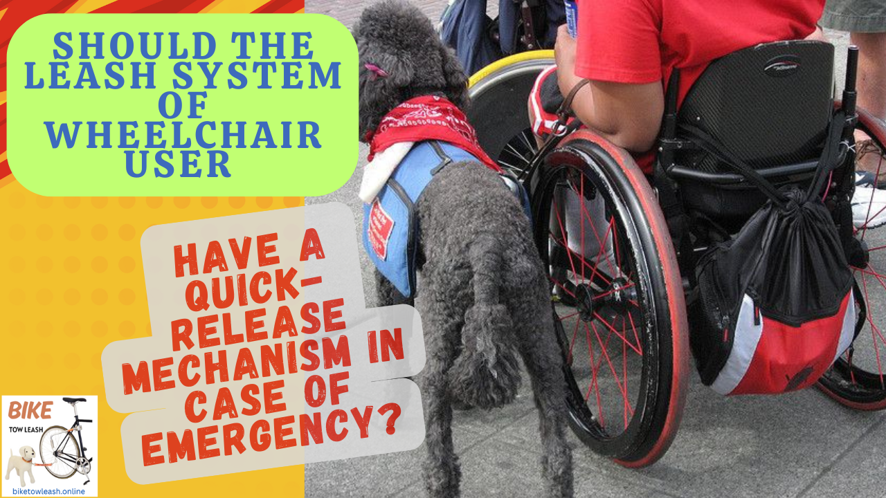 Should the Leash System of Wheelchair User have a quick-release Mechanism in case of Emergency