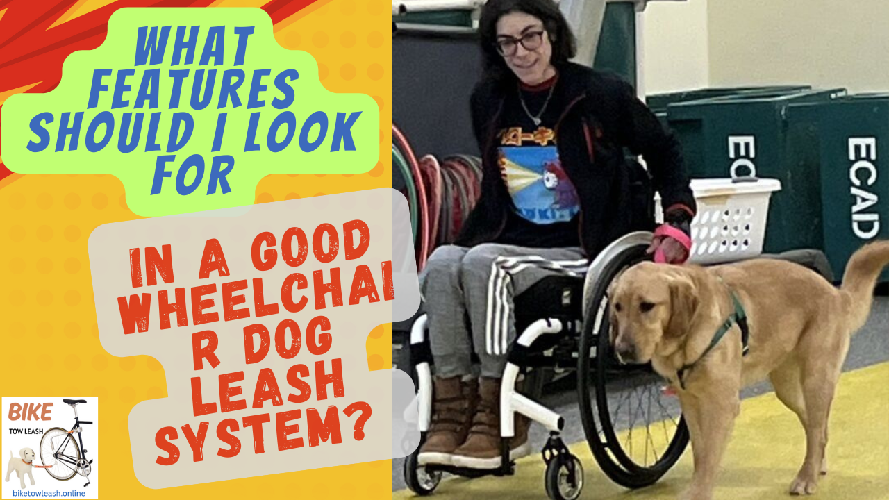 What Features Should I Look for in a Good Wheelchair Dog Leash System