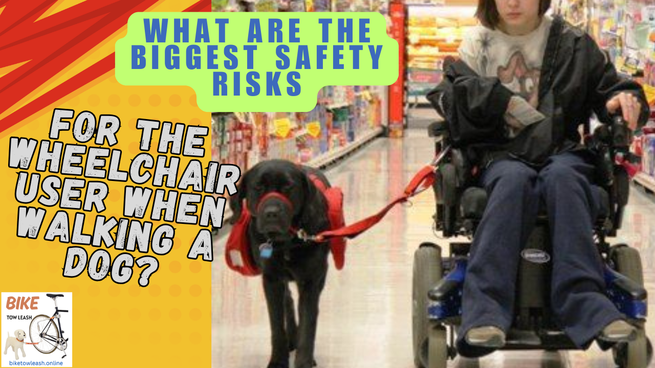 What are the Biggest Safety Risks for the Wheelchair User when Walking a Dog (