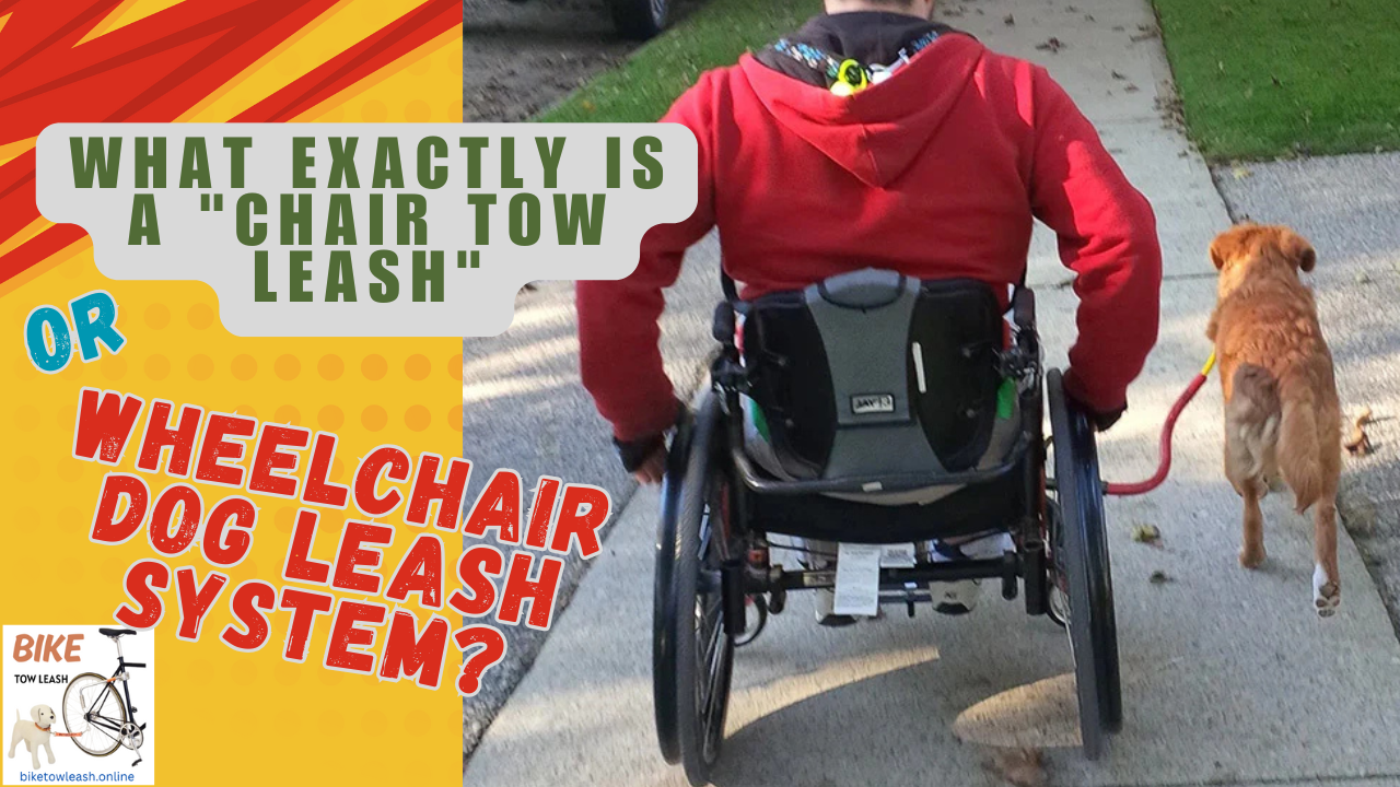 What exactly is a Chair Tow Leash or Wheelchair Dog Leash System