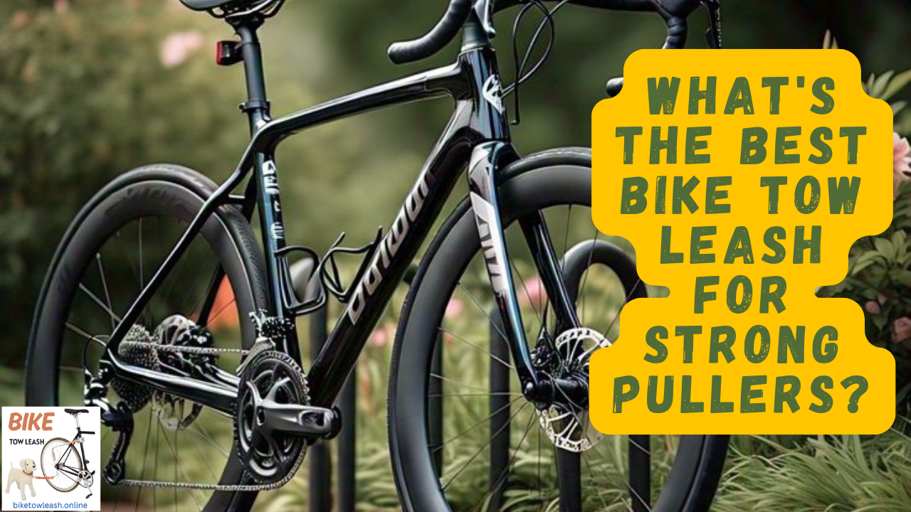 What's the Best Bike Tow Leash for Strong Pullers