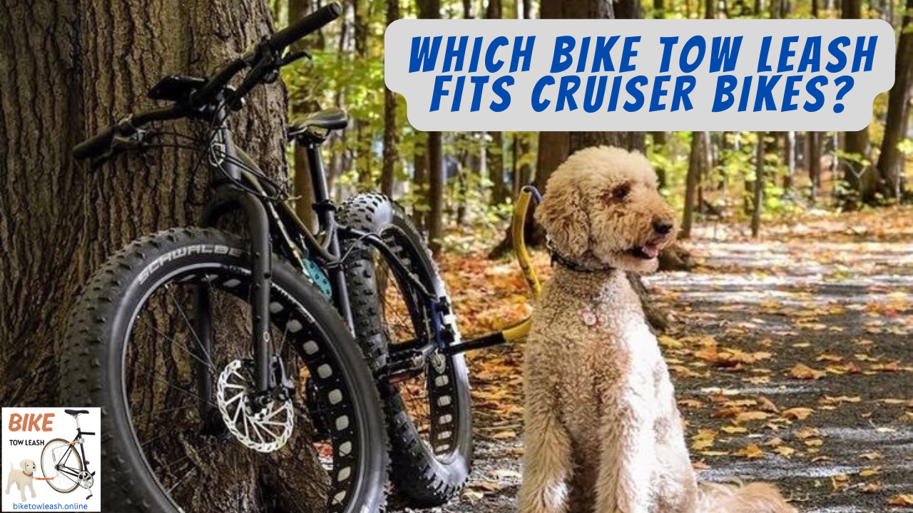 Which Bike Tow Leash Fits Cruiser Bikes